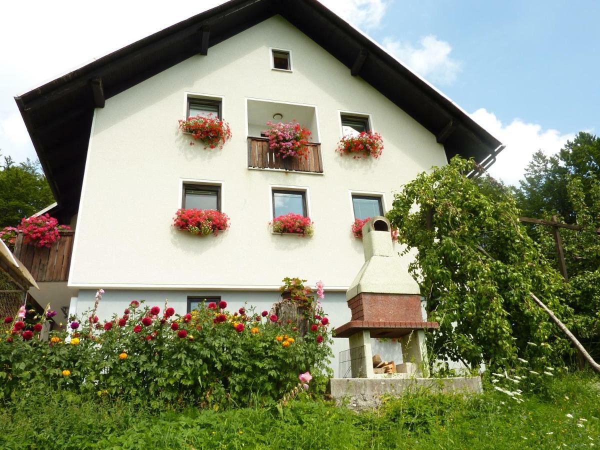 Apartments Pri Marjetki Cerkno Exteriör bild
